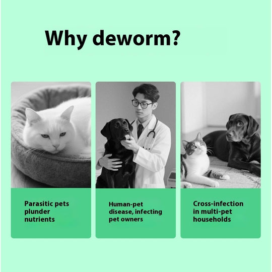 Pet Itching Relief Products for dogs