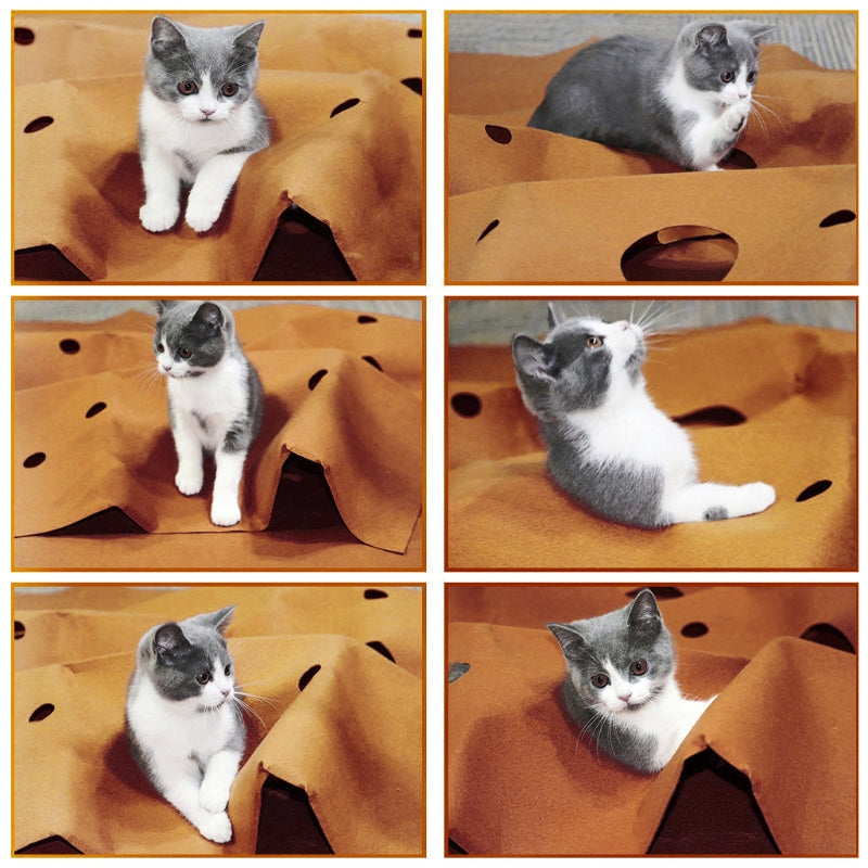 Cat Play Mat