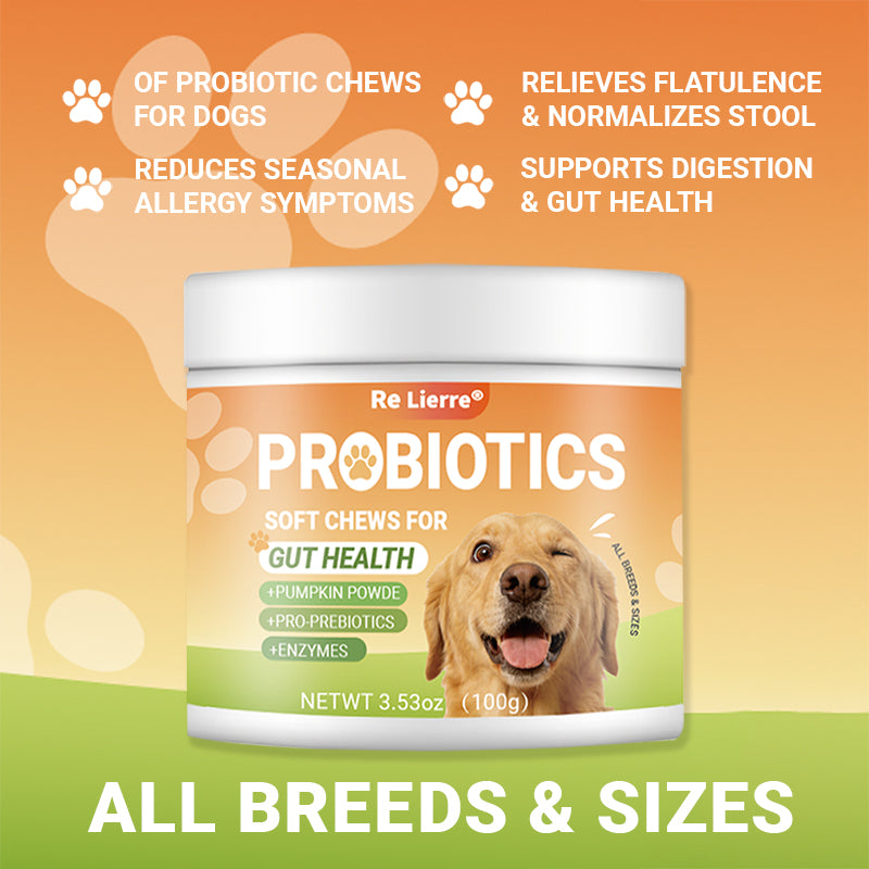 Intestinal Health Chewing Tablets for dogs