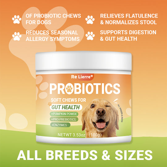 Intestinal Health Chewing Tablets for dogs