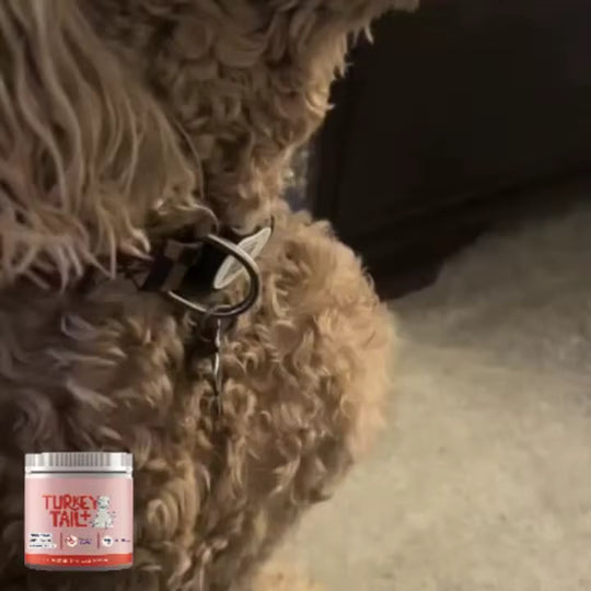Dog Probiotic Soft Granules for gut health