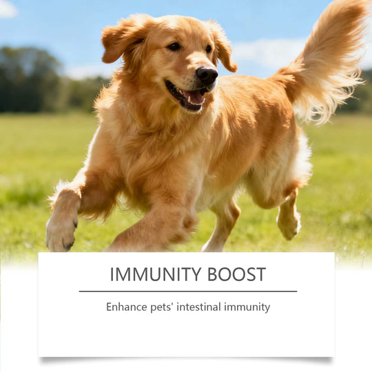 Dog Probiotic Soft Granules for gut health
