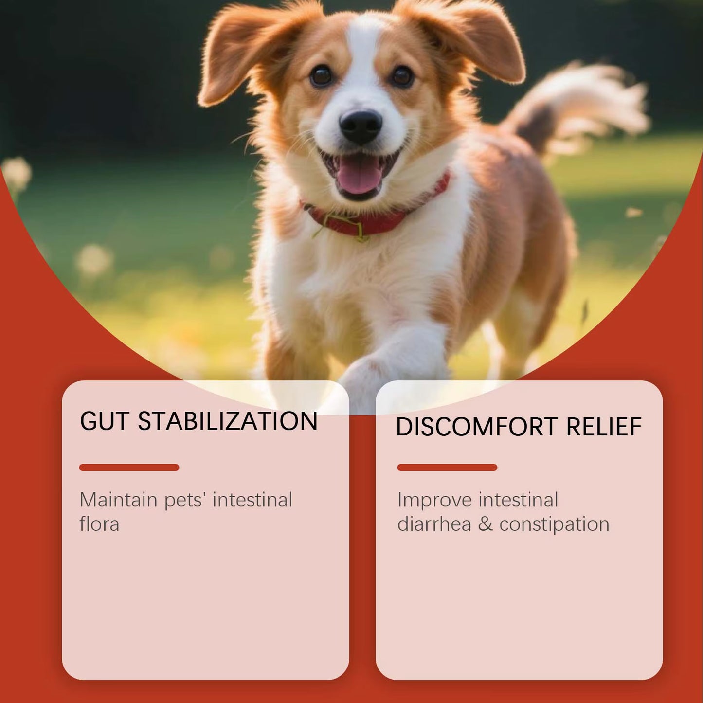 Dog Probiotic Soft Granules for gut health